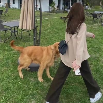 楼王之迷